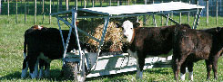 calves feeding from troughmobile