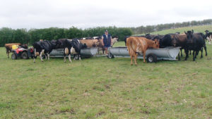 troughmobile in paddock with cows