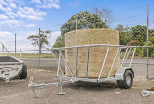 Mobile Bail Buggy